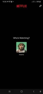 Screenshot_20240120-222009_Netflix.webp