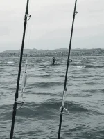 1706030538210.webp