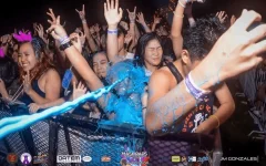 1706102949751.webp