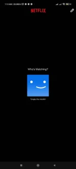 Screenshot_2024-01-26-01-13-03-392_com.netflix.mediaclient.webp