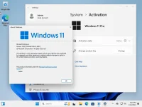 win2.webp win2.webp