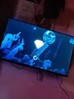 17063280533114436304018625406549.webp