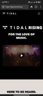 Screenshot_2024-01-27-18-29-04-015_com.duckduckgo.mobile.android.webp