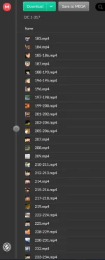 4.png 4.png