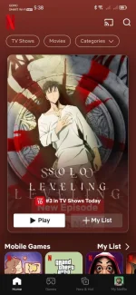 Screenshot_20240128_173851_com.netflix.mediaclient.webp