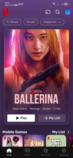 Screenshot_20240129_205701_com.netflix.mediaclient.webp