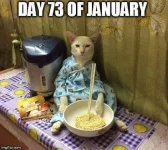 FB_IMG_1706579245819.webp