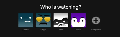 1706600695849.png