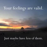 1706601774426.png 1706601774426.png