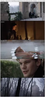 fallen ss.webp