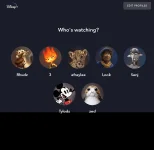 www.disneyplus.com_select-profile.png