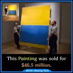 FB_IMG_1707141164362.webp