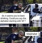 425768018_1130975738345939_7822616223302398925_n.webp