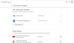 Your family on Google.webp
