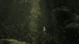 1707295588296.png 1707295588296.png