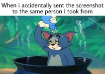 426443777_1132785091498337_8036907137589801295_n.webp
