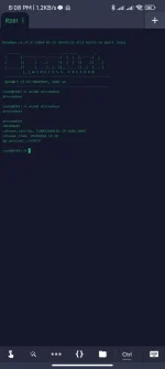 Screenshot_2024-02-12-20-08-02-954_com.server.auditor.ssh.client.jpg Screenshot_2024-02-12-20-08-02-954_com.server.auditor.ssh.client.jpg