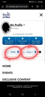 Screenshot_20240216-182902_Kiwi Browser.webp