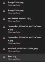 1708249161264.webp