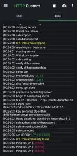 Screenshot_20240221_003622_HTTP Custom.webp
