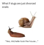 FB_IMG_1708557842369.webp