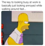 428635741_1140639407379572_8179957137128407112_n.webp