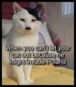 FB_IMG_1708843762303.webp