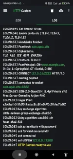 Screenshot_2024-03-01-01-21-40-274_xyz.easypro.httpcustom.webp