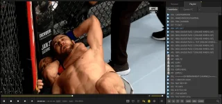 ufc.webp