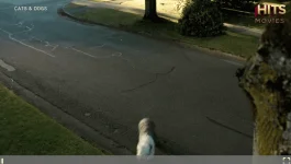 Screenshot 2024-03-04 101842.webp
