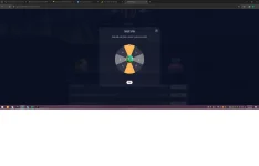 mon -spin.webp