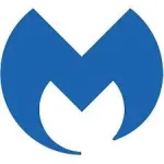 download (1).webp download (1).webp