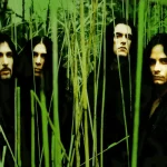 1710597263621.png