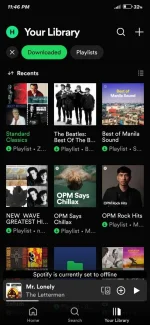 Screenshot_2024-03-17-23-46-24-405_com.spotify.music.webp