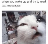 1710819600518.webp