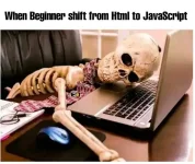 Beginners Experience.webp