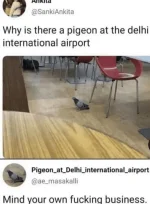 1711001937367.webp