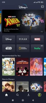 Screenshot_2024-03-21-14-59-47-588_com.disney.disneyplus.webp