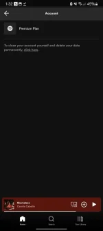 Screenshot_20240323_013227_Spotify.webp