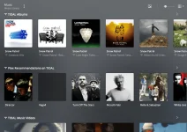 web-personal-artist-page-tidal-albums.webp
