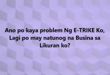 1711346303188.webp