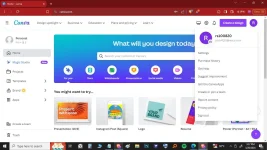 Cαиνα Premium.webp