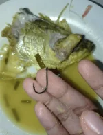1711720075166.webp