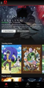 Screenshot_20240331_000316_animeflix.acig_edit_61957304170752.webp