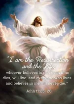 FB_IMG_1711857695915.webp