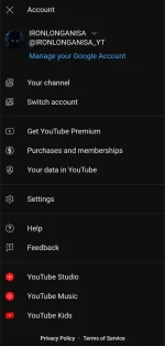 Screenshot_20240331-131122_YøùTùbé Pro.png