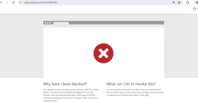 1711958457947.webp
