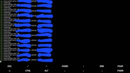 Screenshot_20240405_103621_Termux.webp
