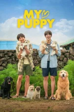 puppy.webp