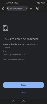 Screenshot_20240407_182318_com.android.chrome.jpg